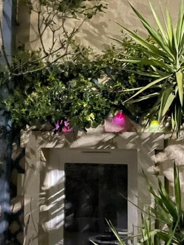 Appartement Le Grand Rouget
