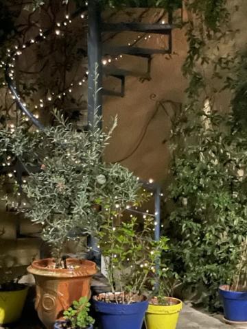 Le Grand Rouget * Beaucaire (Gard)