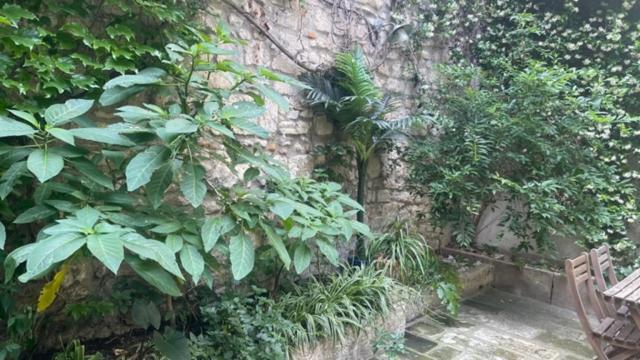 Le Grand Rouget Appartement Beaucaire (Gard)
